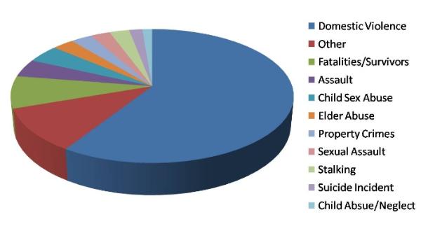 Types of Crime Victims Served